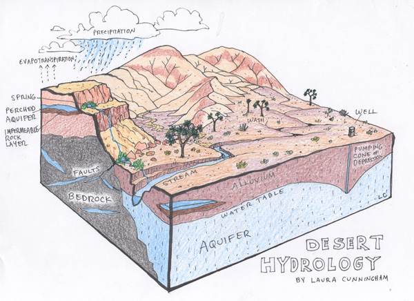 desert hydrology